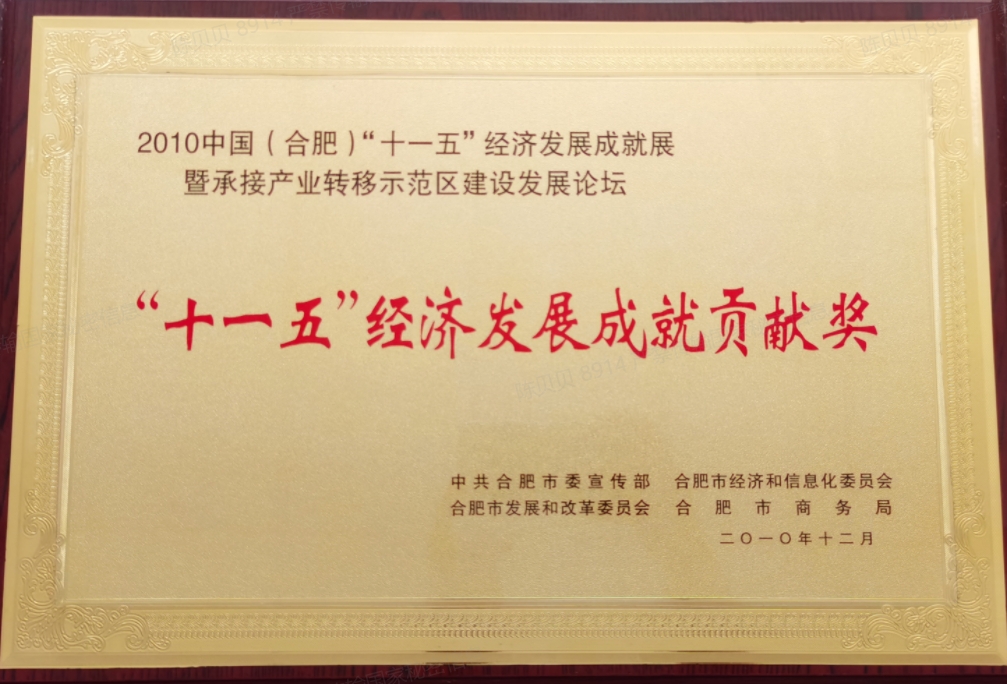 “十一五”經(jīng)濟(jì)發(fā)展成就貢獻(xiàn)獎(jiǎng)（2010）